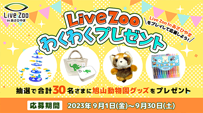 Live Zoo わくわくプレゼント