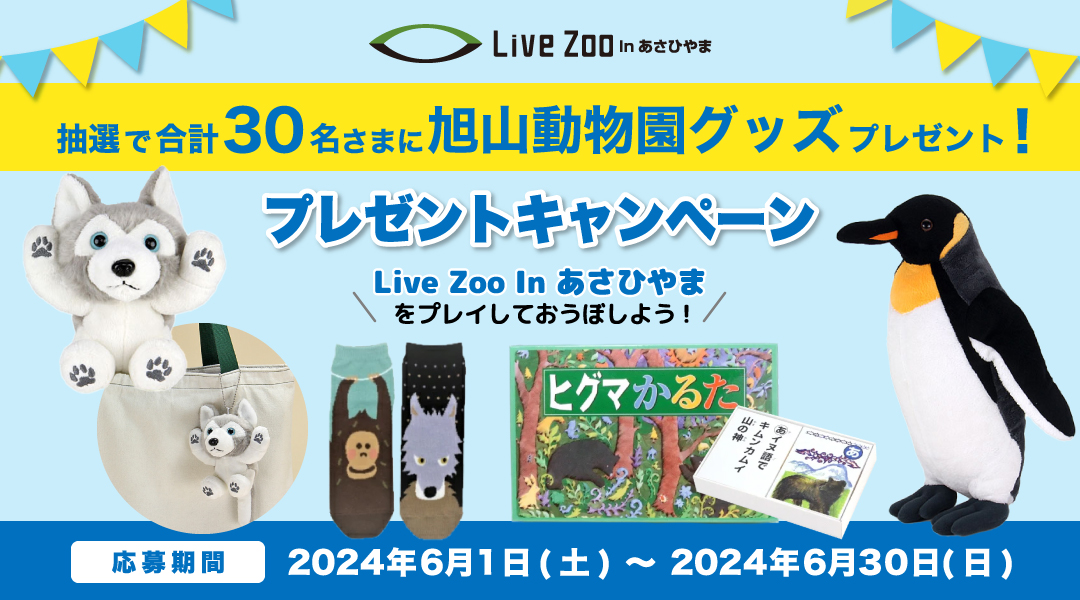 「Live Zoo In あさひやま」プレゼントキャンペーン　「dキッズ」の「Live Zoo In あさひやま」をプレイしてミッションをクリアしよう！クリア後に応募された方の中から抽選で合計30名さまに“キングペンギンのぬいぐるみ”や“ヒグマかるた”など、「旭山動物園グッズ」をプレゼント！応募期間：2024年6月1日(土)0時00分～2024年6月30日(日)23時59分まで